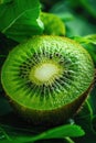 kiwi apple close up on tree. selective focus