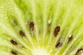 Kiwi as a background. super macro Royalty Free Stock Photo
