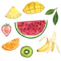 Kiwi, banana, pineapple, watermelon, orange, mango, strawberry and a green leaf, watercolor illustration Royalty Free Stock Photo