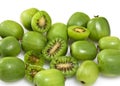 Kiwi Berry or Actinidia arguta Royalty Free Stock Photo