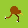 Kiwi bird cartoon isolated. little bird run vector illustration