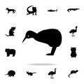 Kiwi bird icon. Detailed set of Australian animal silhouette icons. Premium graphic design. One of the collection icons for Royalty Free Stock Photo