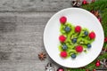 Kiwi christmas tree with fir tree branches over rustic wooden table. funny food idea for kids