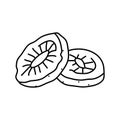 kiwi dried fruit line icon vector illustration Royalty Free Stock Photo