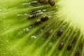 Kiwi fruit Royalty Free Stock Photo