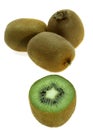 KIWI FRUIT actinidia chinensis AGAINST WHITE BACKGROUND