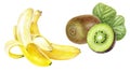 Kiwi fruit banana set watercolor isolated on white background