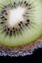 Kiwi fruit in carbonated water on a black backround Royalty Free Stock Photo