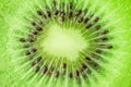 Kiwi fruit. Cross cut of kiwi juicy flesh with seeds closeup Royalty Free Stock Photo