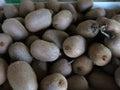 Kiwi fruit is full of vitaminC Royalty Free Stock Photo