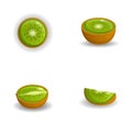 Kiwi fruit icons set cartoon vector. Exotic fruit Royalty Free Stock Photo