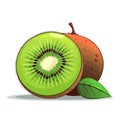 Kiwi fruit. Image of fresh kiwi fruit. Sliced kiwi in flat design