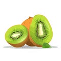 Kiwi fruit. Image of fresh kiwi fruit. Sliced kiwi in flat design