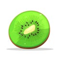 Kiwi fruit. Image of fresh kiwi fruit. Sliced kiwi in flat design