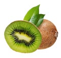 Kiwi fruit with leaves