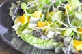 Kiwi fruit , mango and lettuce salad Royalty Free Stock Photo