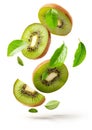 Kiwi fruit slice anf leaves levitating falling fly on white background Royalty Free Stock Photo