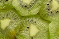 Kiwi fruit slices make up natural fruit edible background