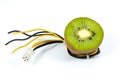 Kiwi fruit on top of wires Royalty Free Stock Photo