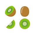 Kiwi fruit vector icon illustration. Half kiwifruit logo cartoon flat isolated icon