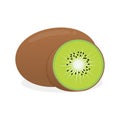 Kiwi fruit vector illustration isolated on white background Royalty Free Stock Photo