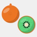 Kiwi fruit vector illustration in flat style Royalty Free Stock Photo