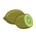 Kiwi fruit vector illustration. Sliced juice kiwi isolated on the white background. Royalty Free Stock Photo