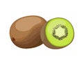 Kiwi fruit, whole and cut, flat style vector illustration isolated on white background Royalty Free Stock Photo