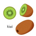 Kiwi fruit whole, cut half and slice. Fruit icon. Flat design. Color vector illustration isolated on a white background. Royalty Free Stock Photo