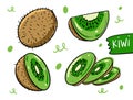 Kiwi fruit whole, slice and sectional. Hand drawn vector illustration in cartoon style. Isolated on white background Royalty Free Stock Photo