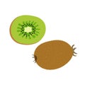 Kiwi fruits. Hand drawn doodle vector sketch. Exotic sweet food. Green slice