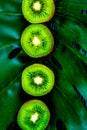 Kiwi for healthy fruit dessert on green tropical background top view Royalty Free Stock Photo