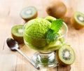 Kiwi ice cream Royalty Free Stock Photo