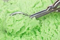 Kiwi ice cream scoop