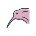 Color illustration icon for Kiwi, bird and okarito