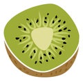 Kiwi icon. Cutted fresh fruit. Sweet green slice