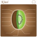 Kiwi Infogram