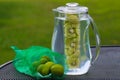 Kiwi Lime Infused Water Royalty Free Stock Photo