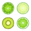 Kiwi and lime slices. Vector illustration