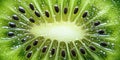 kiwi macro fruit texture green fresh bubble closeup background Royalty Free Stock Photo