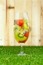 Kiwi Melon Sangria