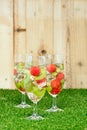 Kiwi Melon Sangria