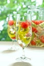 Kiwi Melon white Sangria