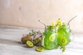 Kiwi Mojito cocktail or non-alcohol mocktail with mint and sliced kiwi fruits on wooden background copy space Royalty Free Stock Photo