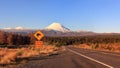 Kiwi road sign and volcano Mt. Ngauruhoe at sunset, New Zealand