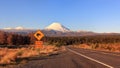 Kiwi road sign mt. Ngauruhoe winter sunset, Tongariro National Park, New Zealand