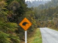 Kiwi road sign on the west coast of nz Royalty Free Stock Photo