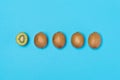 Kiwi row isolated on blue top view Royalty Free Stock Photo