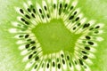 Kiwi section Royalty Free Stock Photo