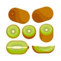 Kiwi. Set of whole, slice, half. Fresh kiwi fruit. Royalty Free Stock Photo